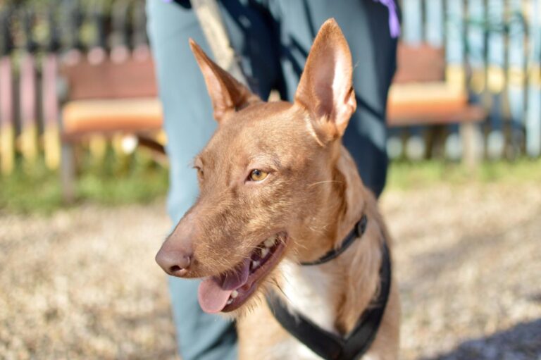 multimedia-foto92366-669-1