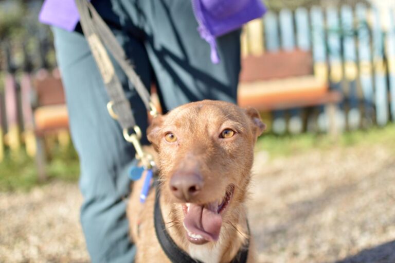 multimedia-foto92367-669-1