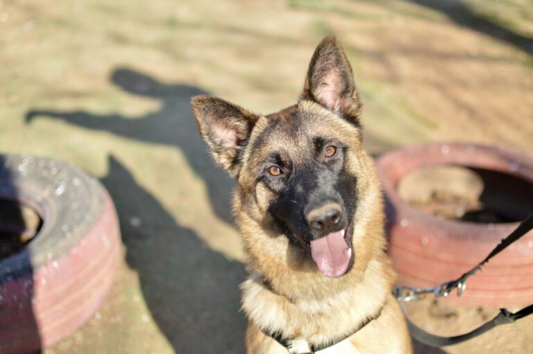 multimedia-foto92368-717-1