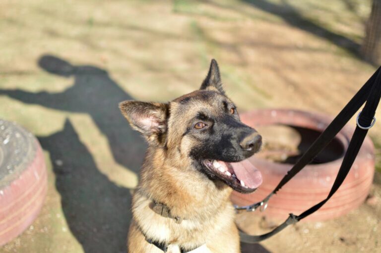 multimedia-foto92370-718-1