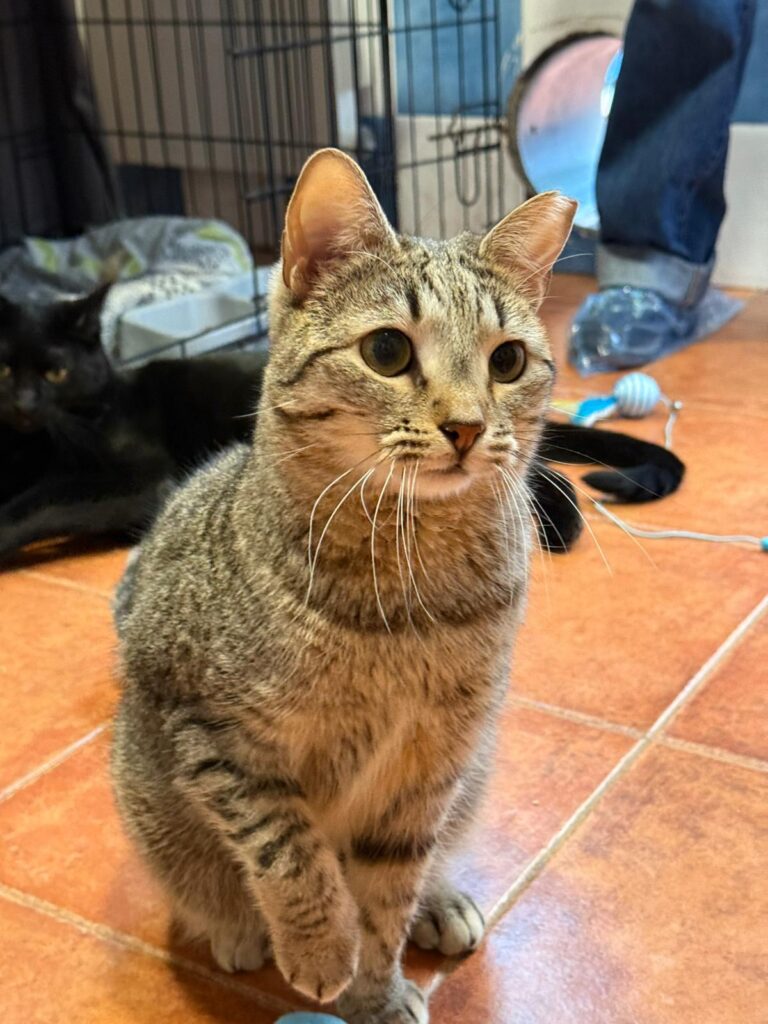 multimedia-foto92389-138-1