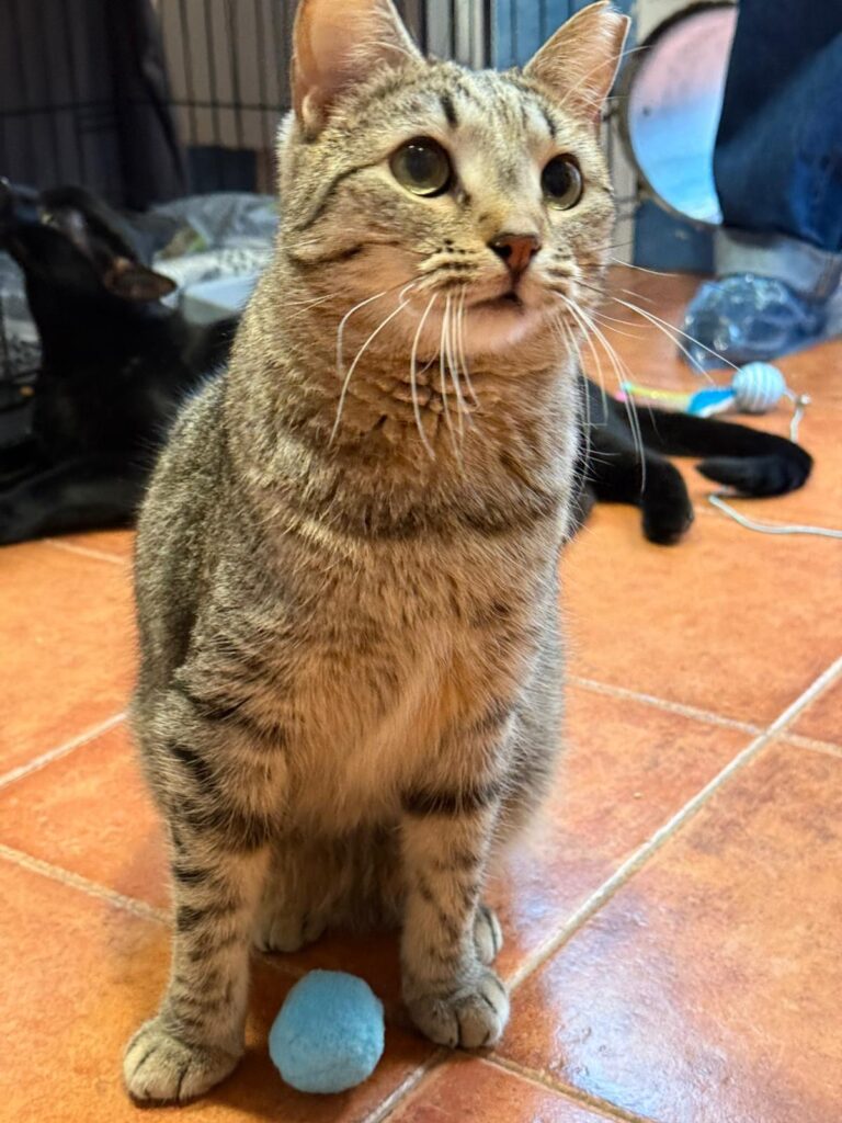 multimedia-foto92390-139-1