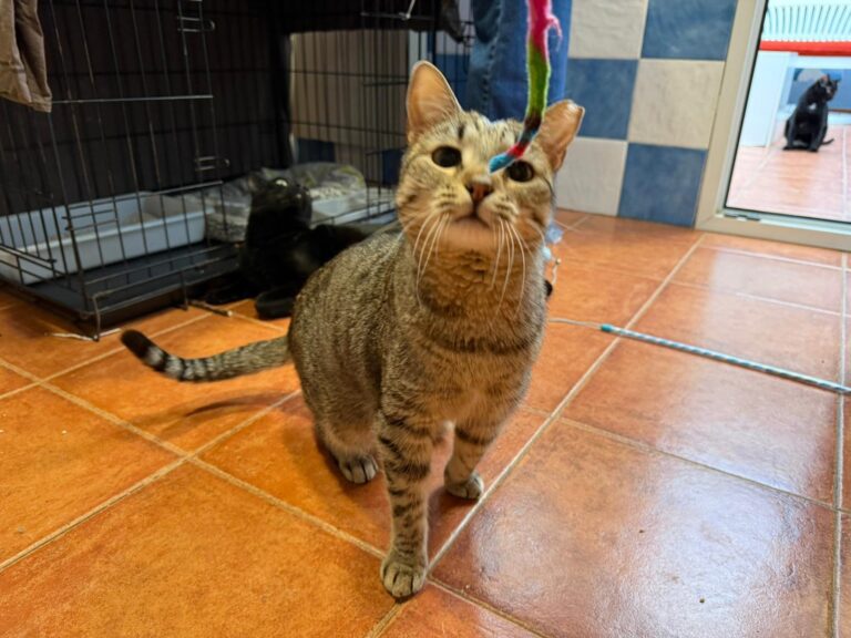 multimedia-foto92391-139-1