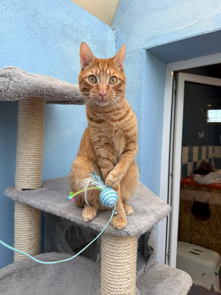 multimedia-foto92392-186-1