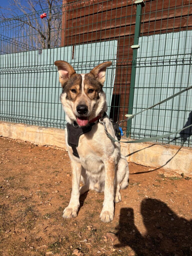 multimedia-foto92399-269-1