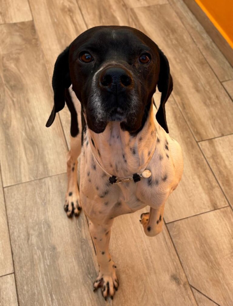 multimedia-foto92428-195-1