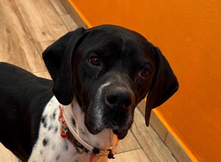 multimedia-foto92430-195-1