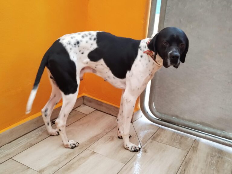 multimedia-foto92432-196-1