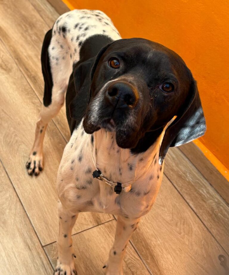 multimedia-foto92433-196-1