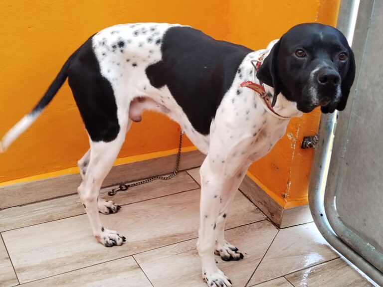 multimedia-foto92434-196-1