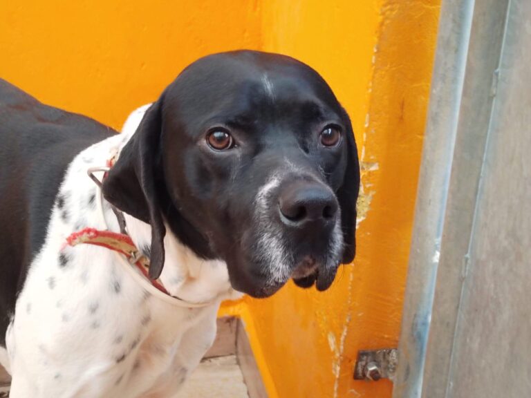 multimedia-foto92435-197-1