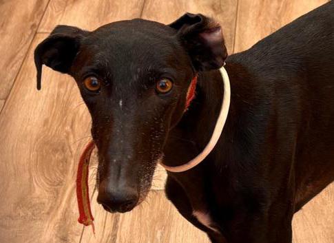 multimedia-foto92452-738-1