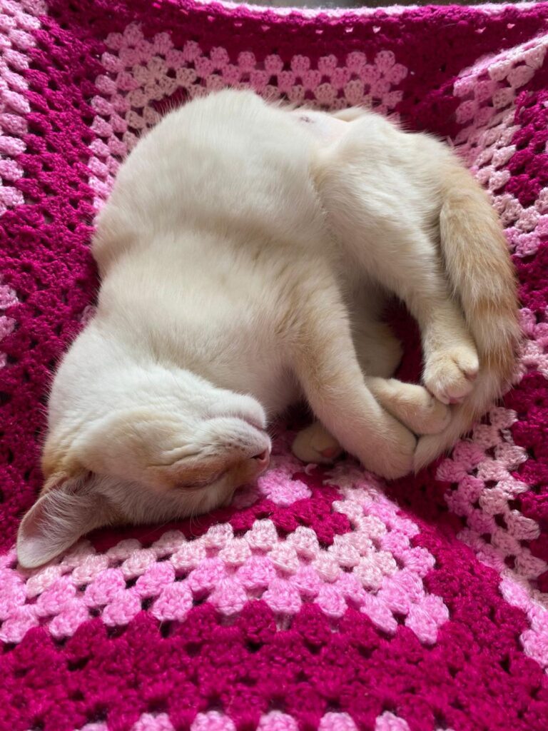 multimedia-foto92477-508-1