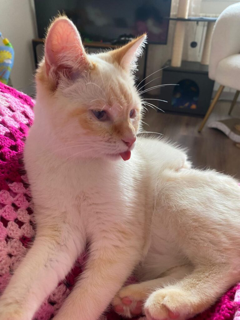 multimedia-foto92479-509-1