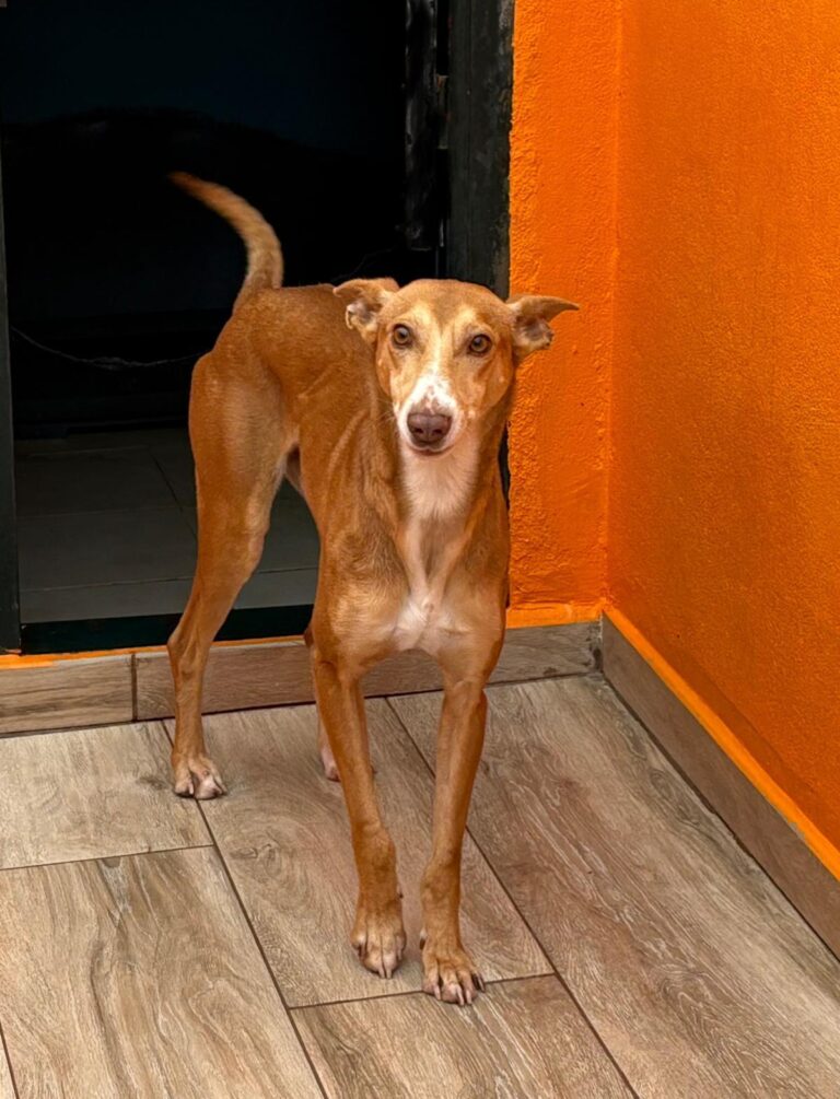 multimedia-foto92486-302-1