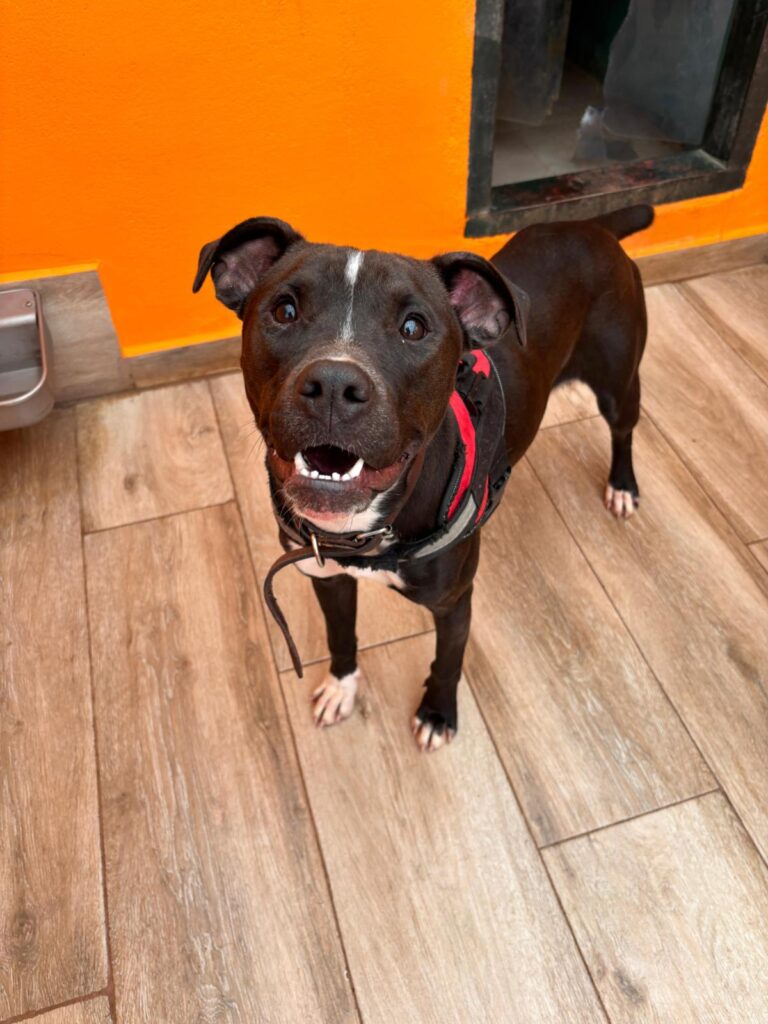 multimedia-foto92499-965-1