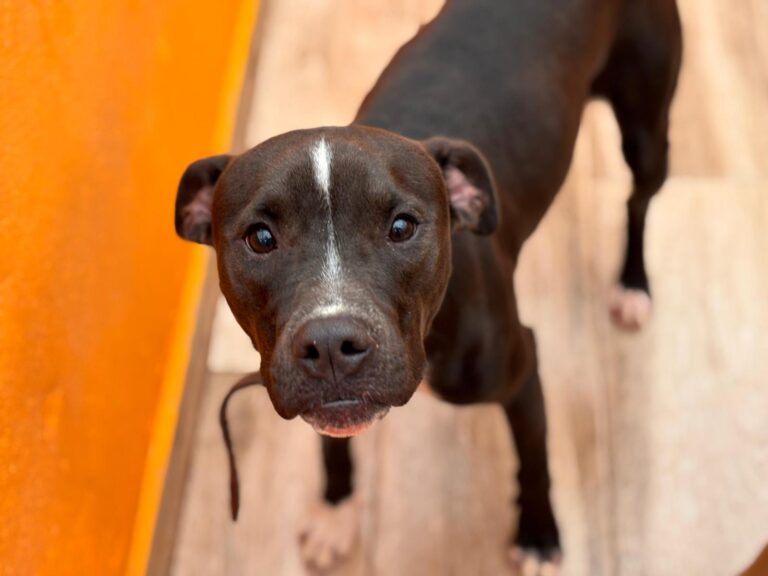 multimedia-foto92500-965-1