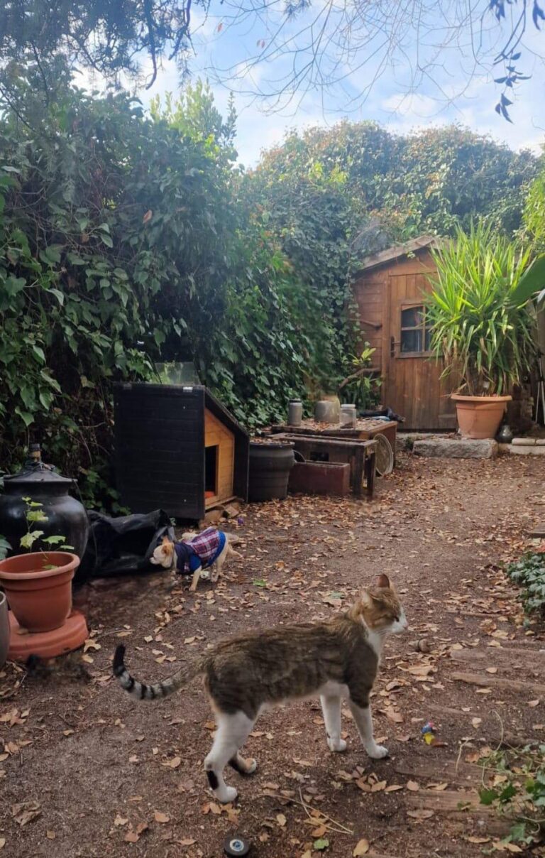 multimedia-foto92506-270-1