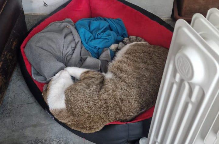 multimedia-foto92507-271-1