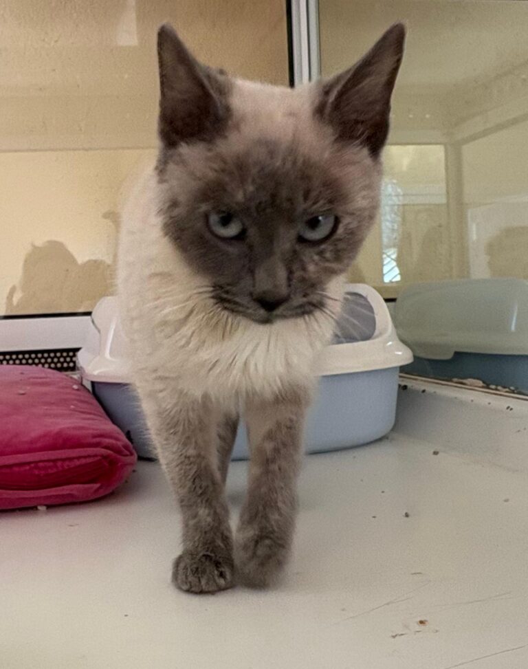 multimedia-foto92516-522-1