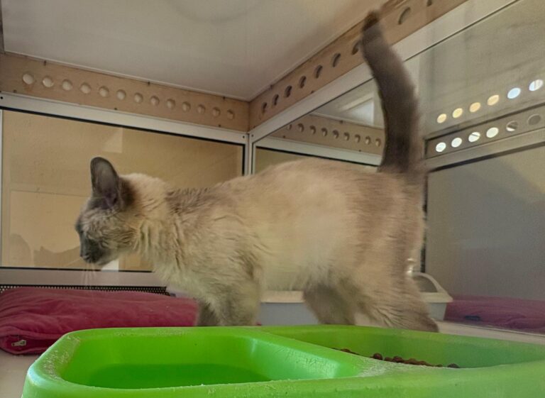 multimedia-foto92517-522-1