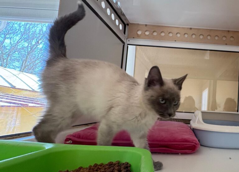 multimedia-foto92518-523-1