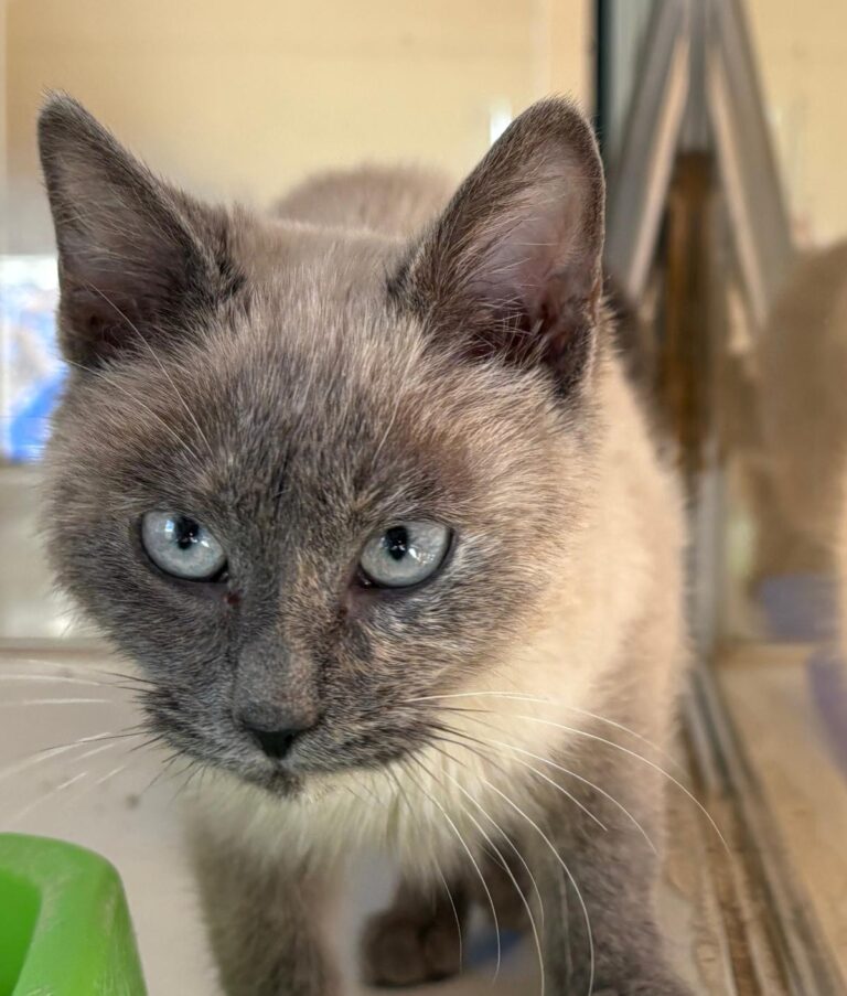 multimedia-foto92519-523-1