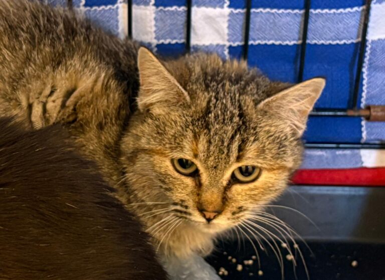 multimedia-foto92535-901-1