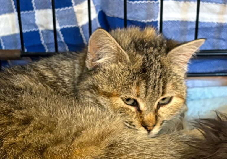 multimedia-foto92536-901-1