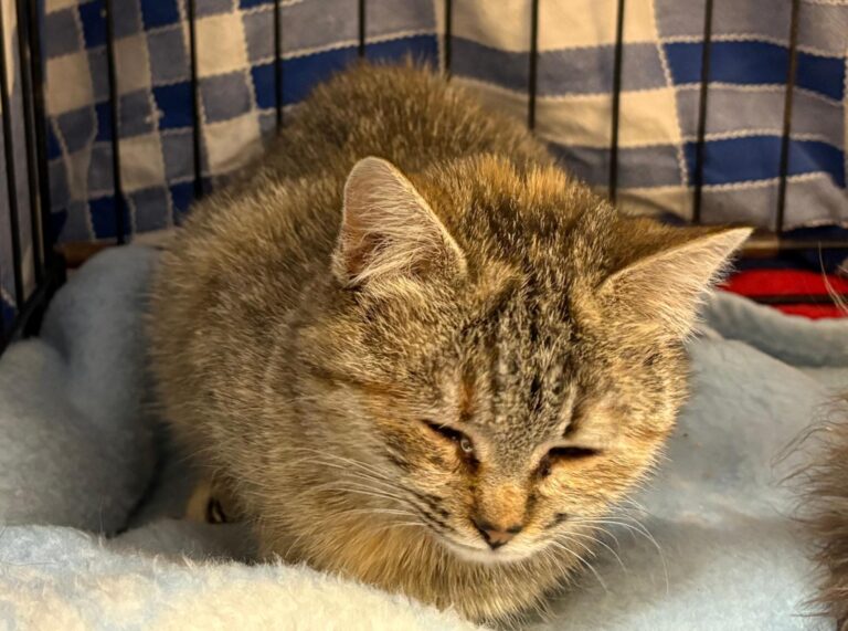 multimedia-foto92537-901-1