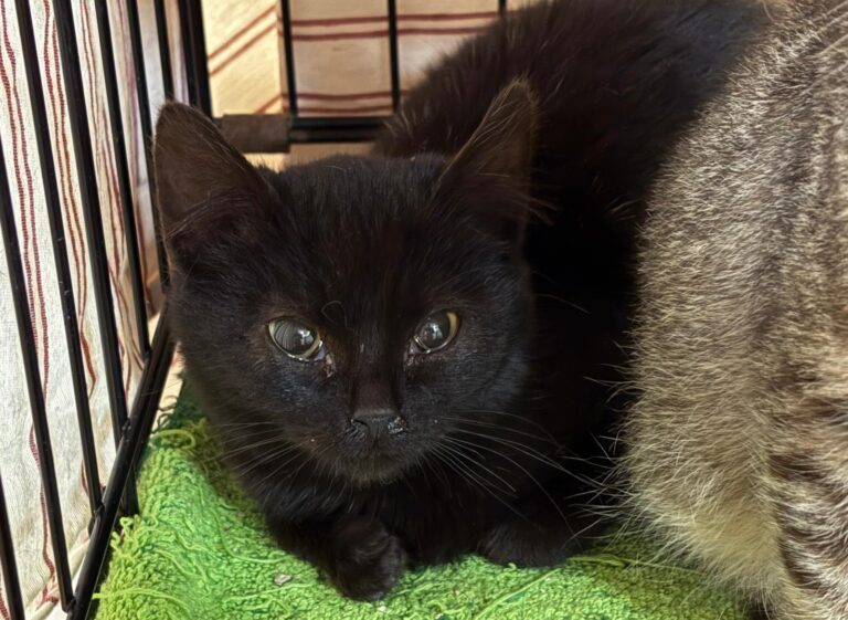 multimedia-foto92540-959-1