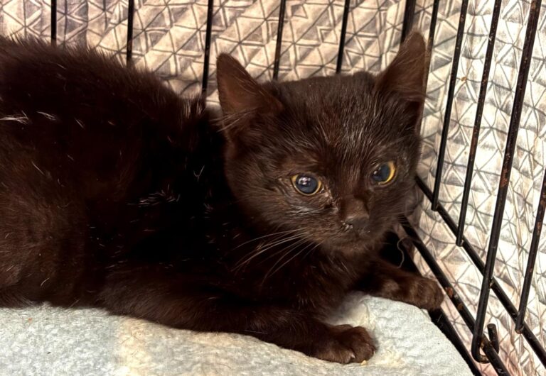 multimedia-foto92541-959-1