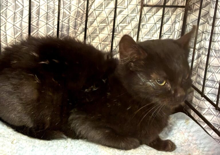 multimedia-foto92542-959-1