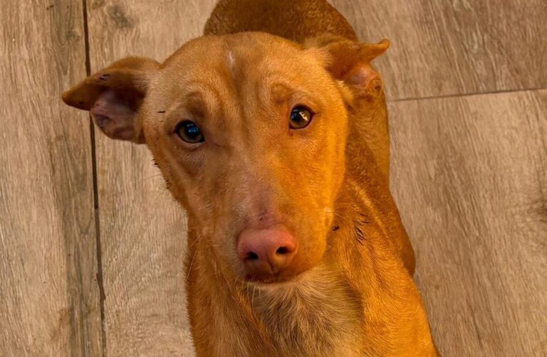 multimedia-foto92551-607-1