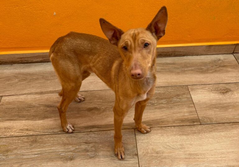 multimedia-foto92554-607-1