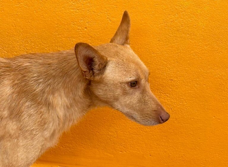 multimedia-foto92556-894-1