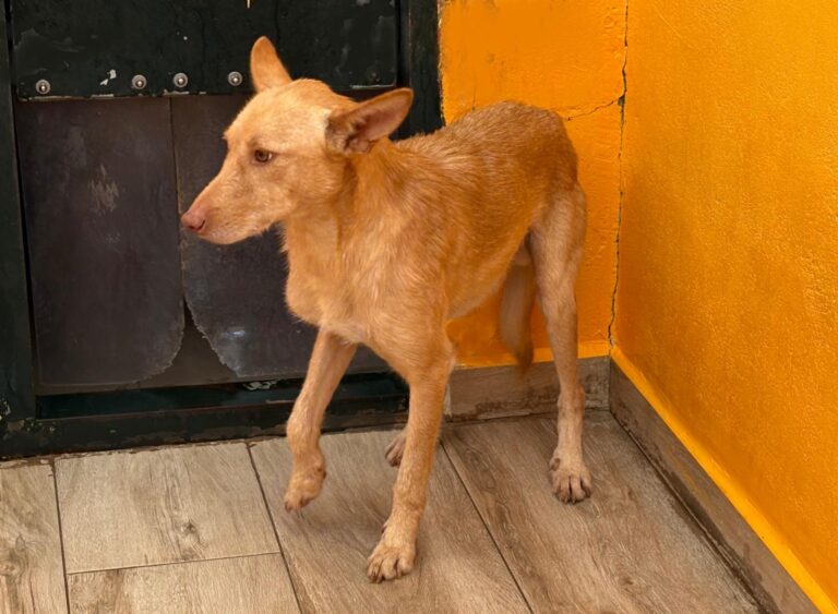 multimedia-foto92558-894-1