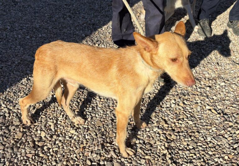 multimedia-foto92560-895-1