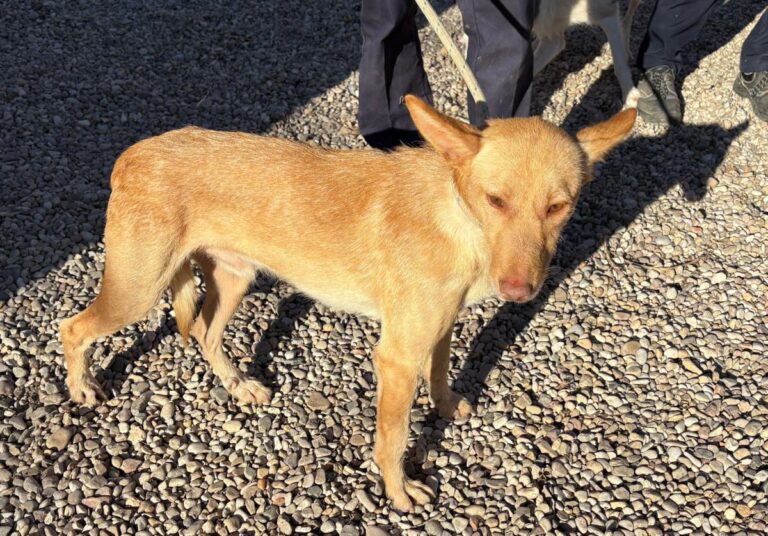 multimedia-foto92561-895-1