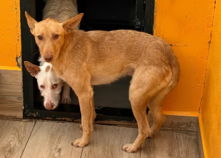 multimedia-foto92563-895-1