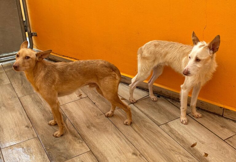 multimedia-foto92564-895-1