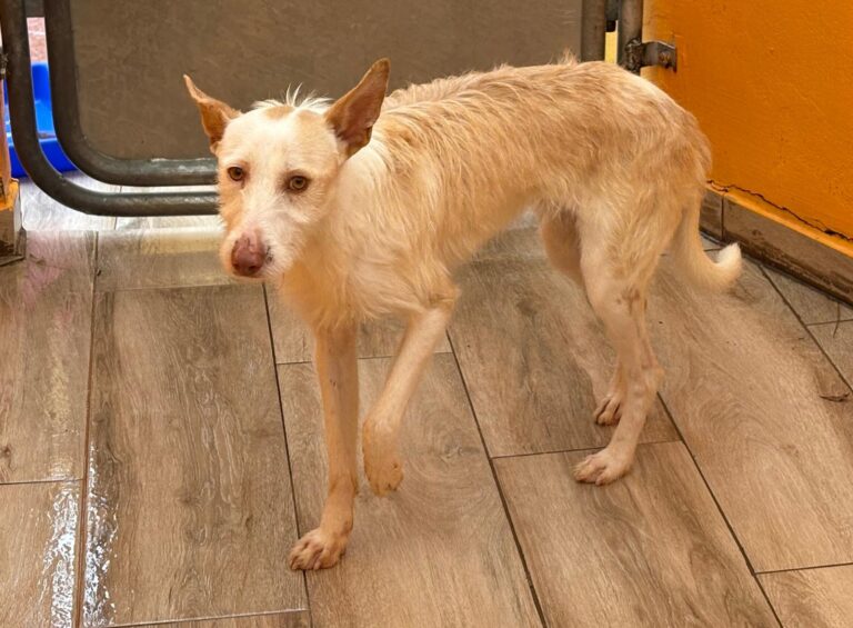 multimedia-foto92565-188-1