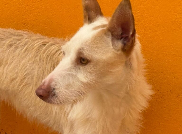 multimedia-foto92566-188-1