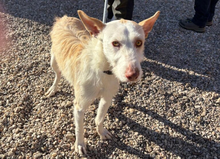 multimedia-foto92567-189-1