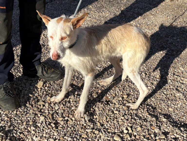 multimedia-foto92568-189-1