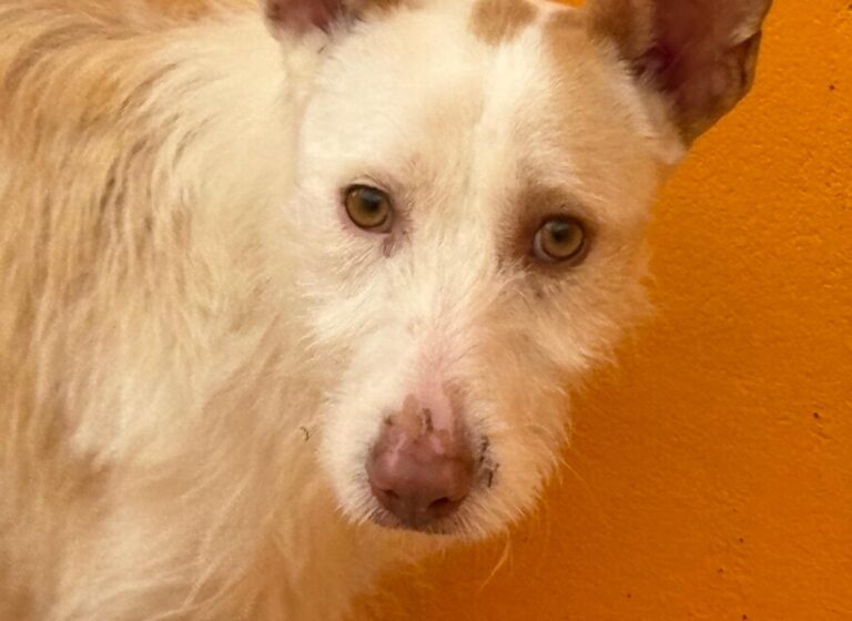 multimedia-foto92569-189-1