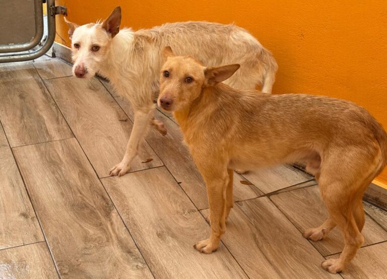 multimedia-foto92572-190-1