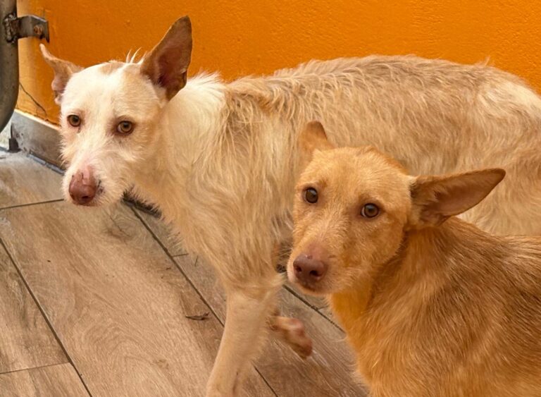 multimedia-foto92576-306-1