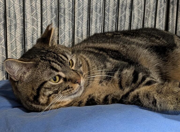 multimedia-foto92579-6-1