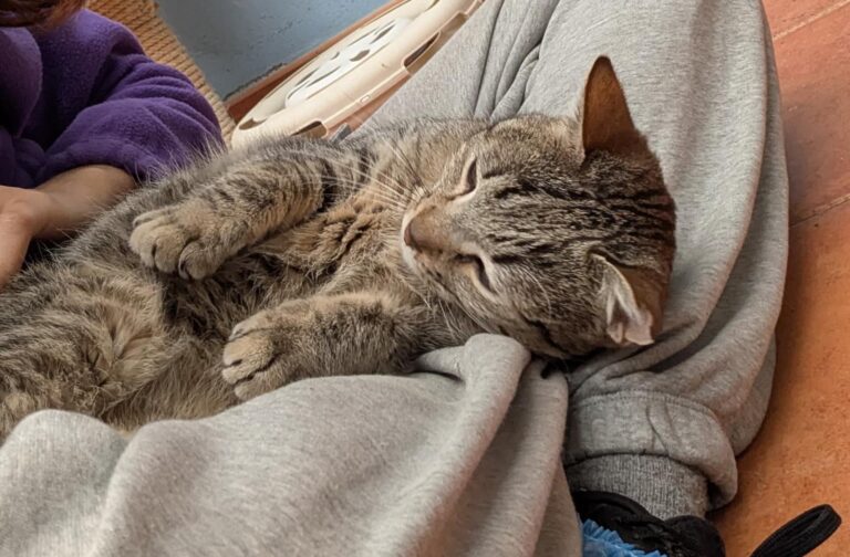 multimedia-foto92583-234-1